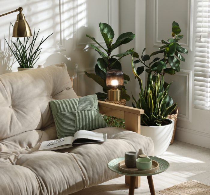 Stephanie Wilson Website Images (4)