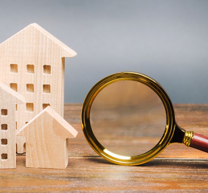 Stephanie Wilson Website Images